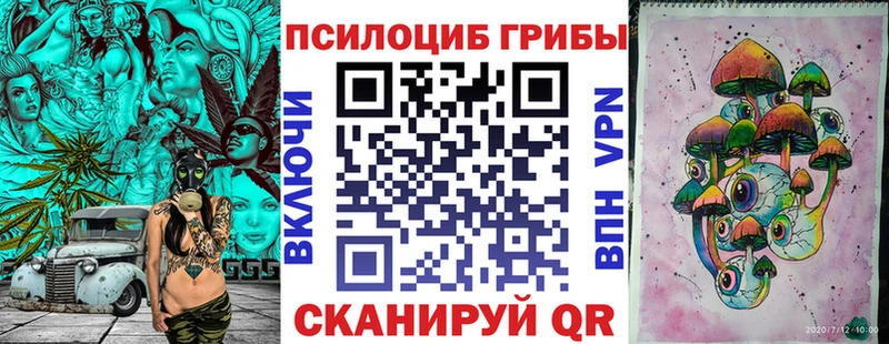 купить  сайты  Питкяранта  Псилоцибиновые грибы Psilocybine cubensis 